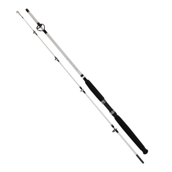 Berkley Big Game Spinning Rod